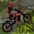 Xtreme Trials Bike 2019